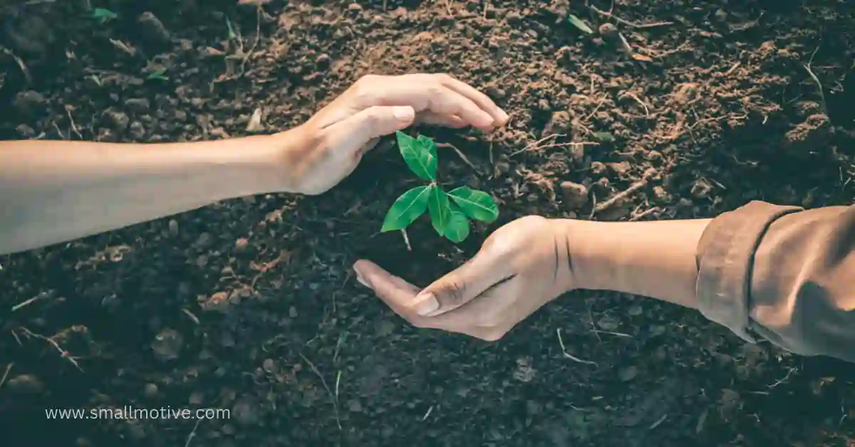 How to Plant Trees in Valheim