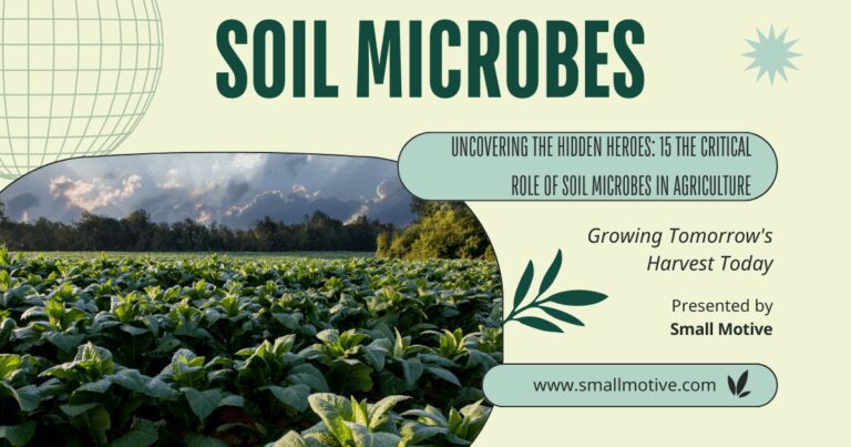 Uncovering the Hidden Heroes: 15 The Critical Role of Soil Microbes in Agriculture