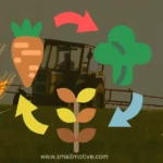 crop rotation