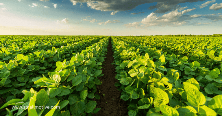 3 types of agriculture