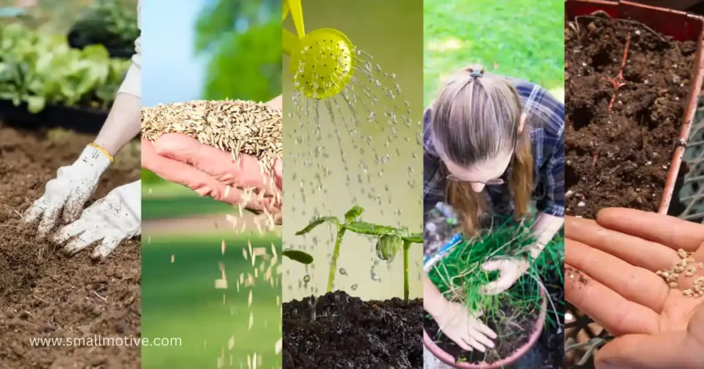 When to Plant Grass Seed