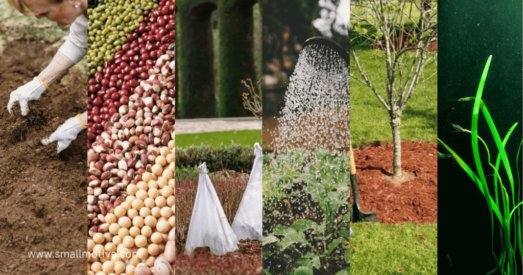 cold weather crops zone 6