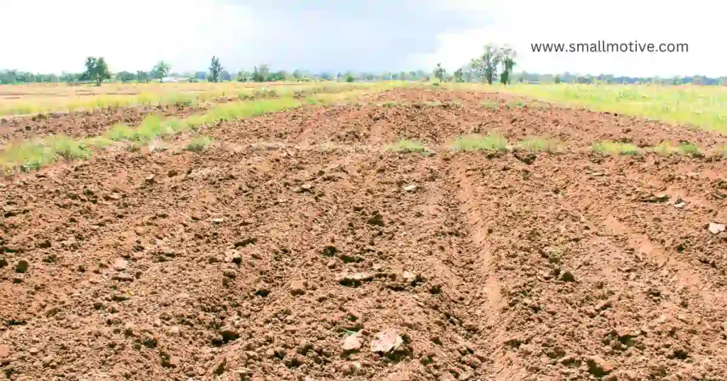 conservation tillage