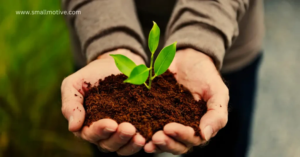 green plants