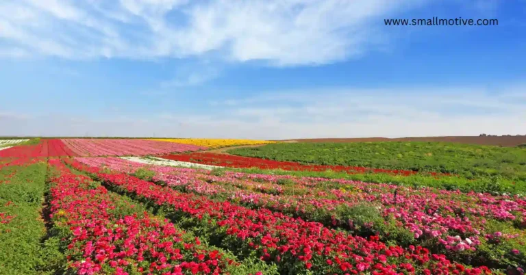 polyculture farming