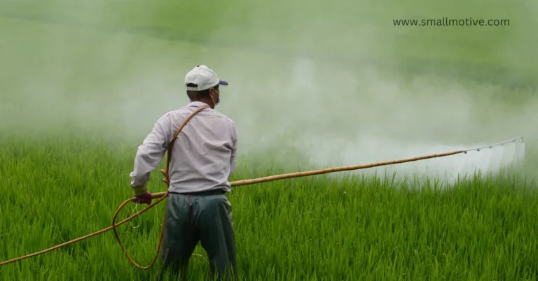 flooding rice fields reduces the need for herbicides