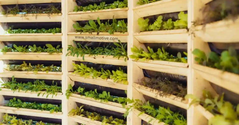 vertical farming at home