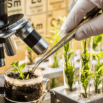 genetic engineering in agriculture