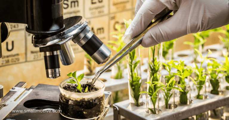 genetic engineering in agriculture