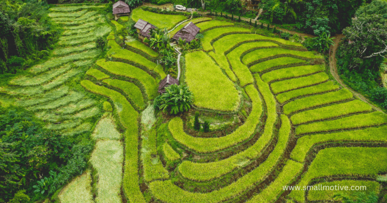 terrace farming