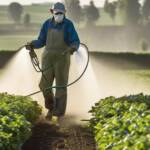 pesticides control